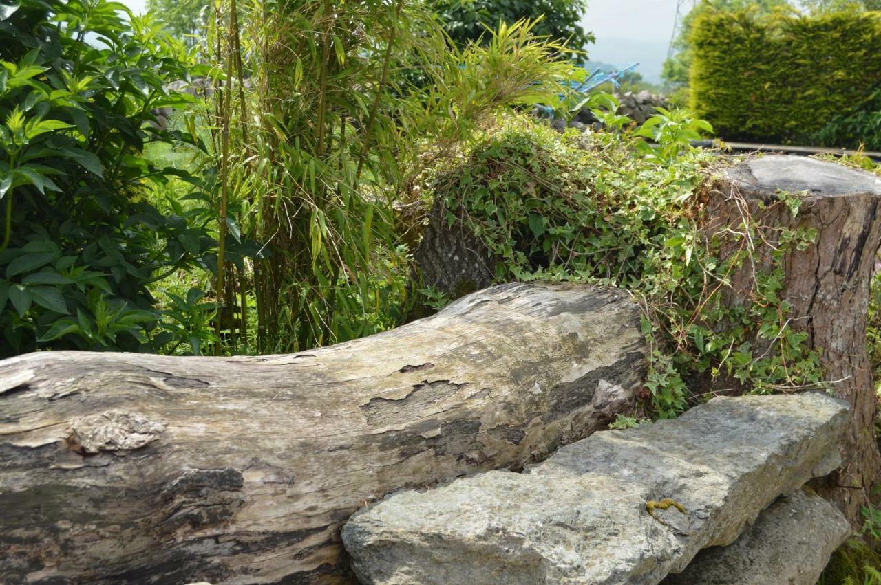 Beudy Bach And Beudy Mawr Mountainstudios Bangor  Exterior photo